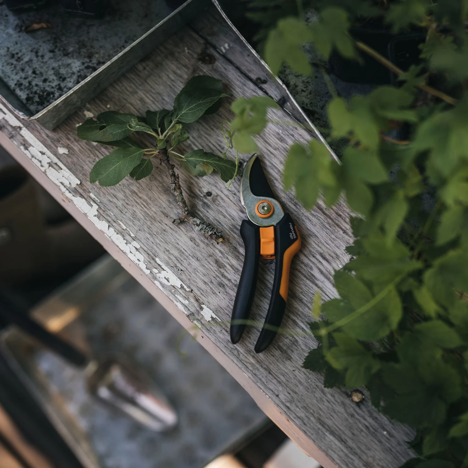 Fiskars Bypass-Schere 'Solid', Schwarz/orange – Bild 3