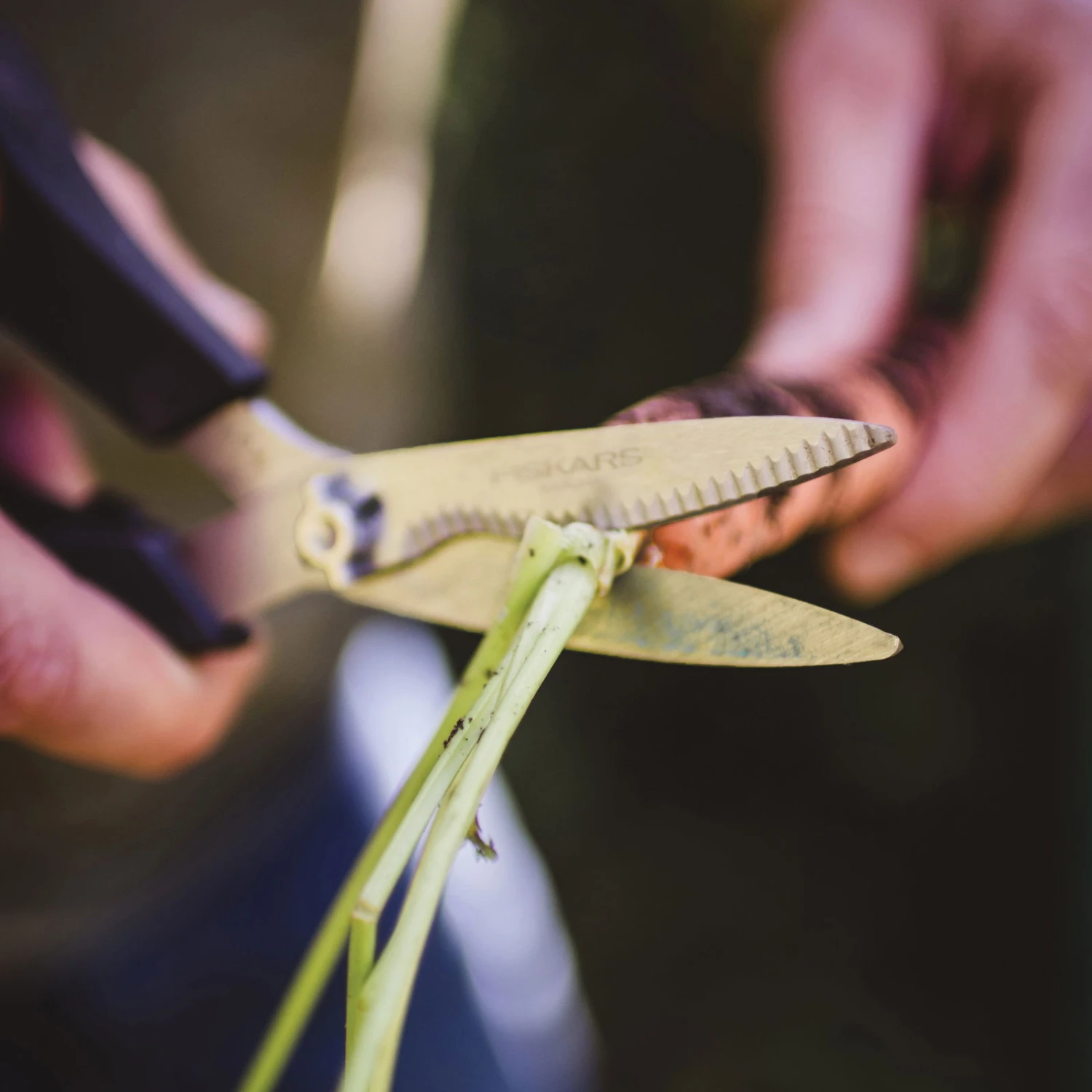 Gemüseschere Solid™ SP240, Schwarz/orange, Ca. 20 X 2 X 9 Cm – Bild 4