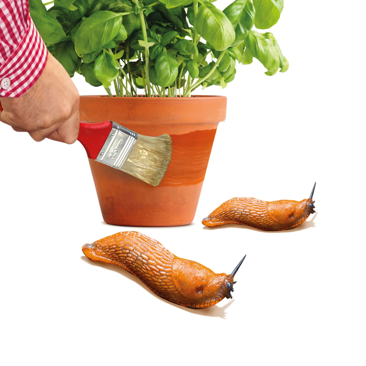 Schnexagon, Anstrich Gegen Schnecken, 375 Ml – Bild 3