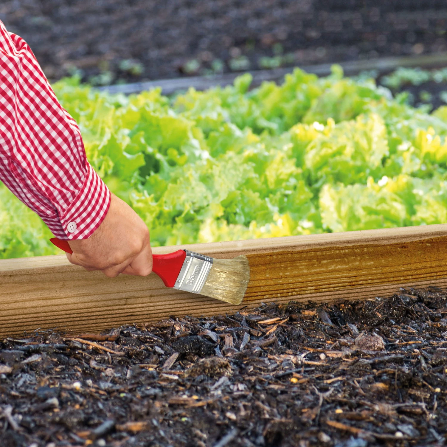 Schnexagon, Anstrich Gegen Schnecken, 375 Ml – Bild 2