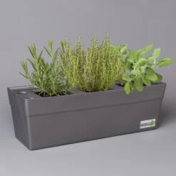 Grillkräuter Salbei, Rosmarin & Thymian, Topf 11x11 Cm, Inkl. Greenbar®