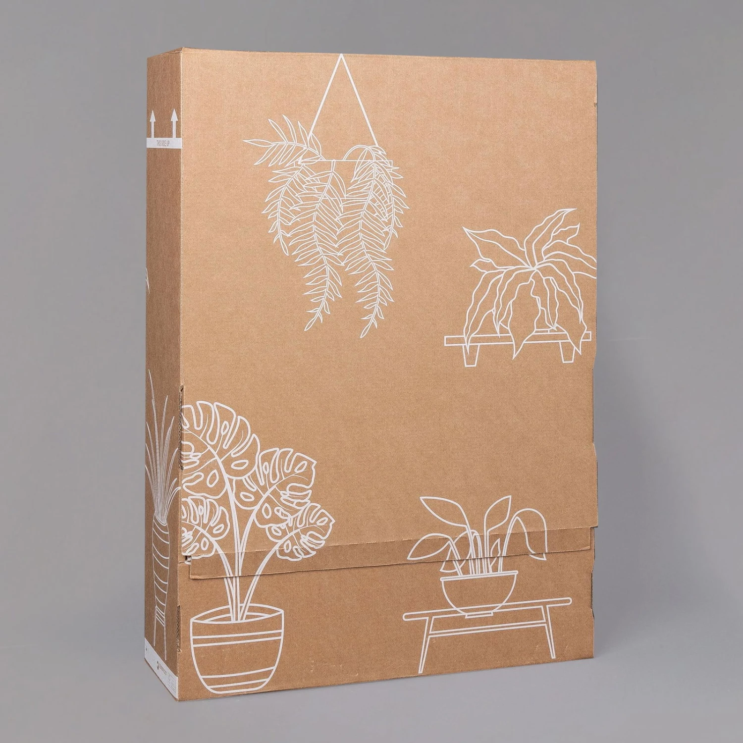 Gardenie, Mit Keramiktopf Dallas Anthrazit, Topf-Ø 13 Cm – Bild 7