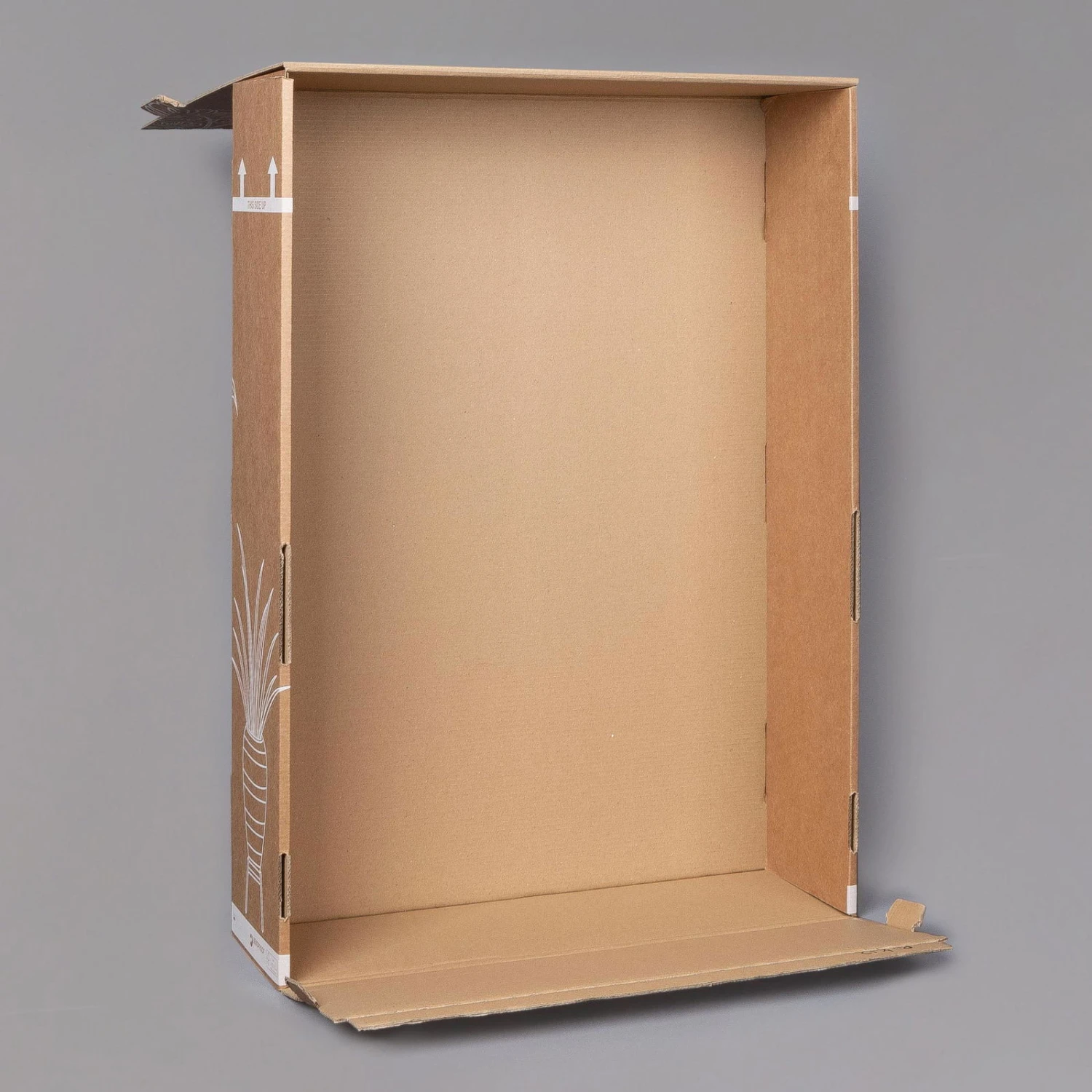 Gardenie, Mit Keramiktopf Dallas Anthrazit, Topf-Ø 13 Cm – Bild 5